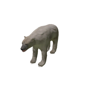 Npc polarbear 0.png