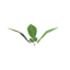 Item saplingpotato.png
