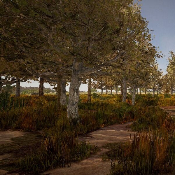 Datei:Biomes AridForestPine small.jpg