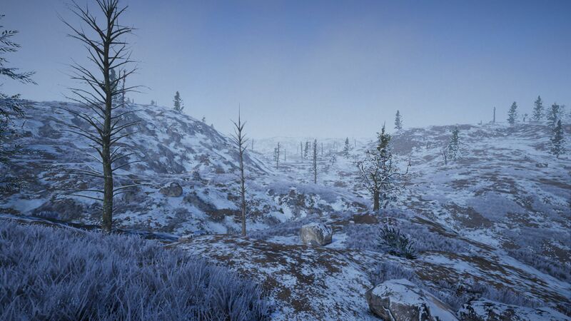 Datei:Biome-tundra.jpg