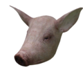 Vorschaubild der Version vom 15:12, 5. Feb. 2024