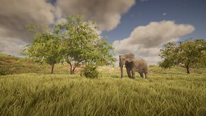 Biome-arid.jpg