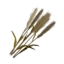 Item wheat.png