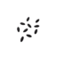 Plant watermelon seeds.png
