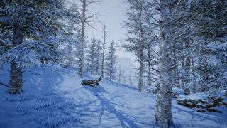 snow
