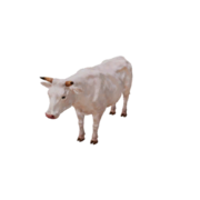 Kuh - Variant 2