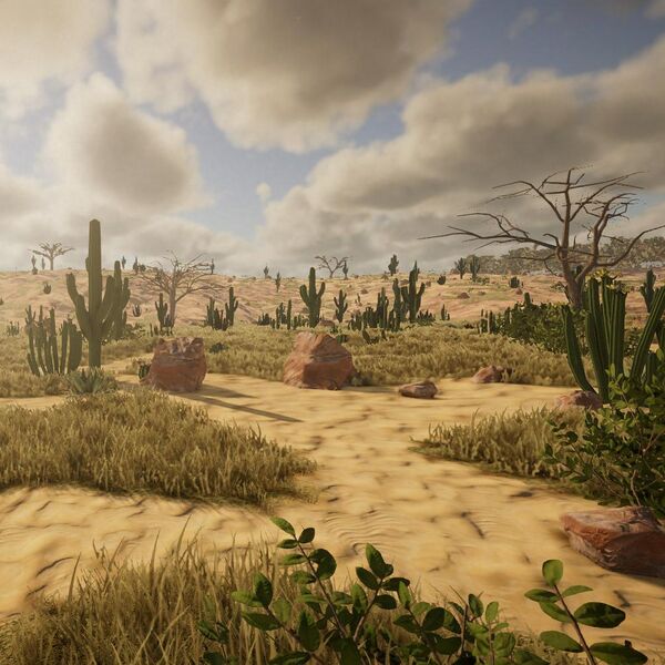 Datei:Biomes Desert small.jpg