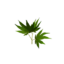Item saplinghemp.png