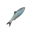 Item herring.png