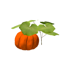 Plant pumpkin.png
