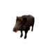Npc wildsow 0.png