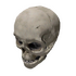 Clothing maskskull.png