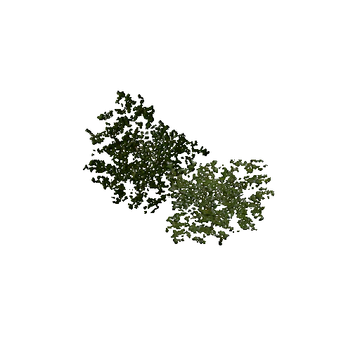 Datei:Plant duckweed2.png