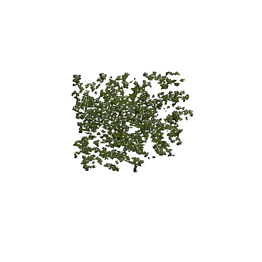 Datei:Plant duckweed.png