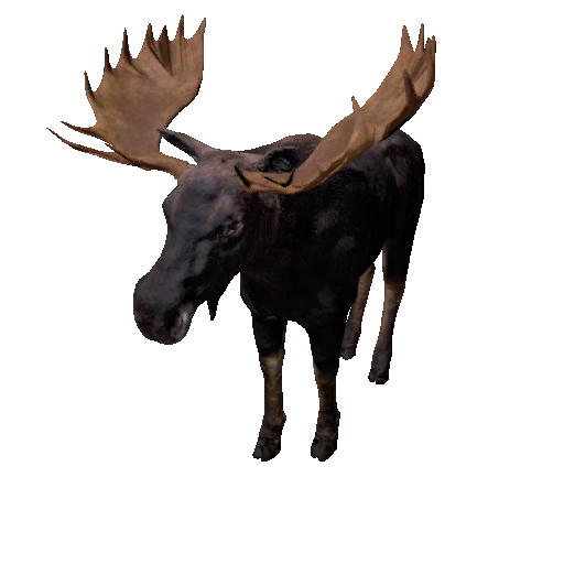 Datei:Npc moosebull 0.png