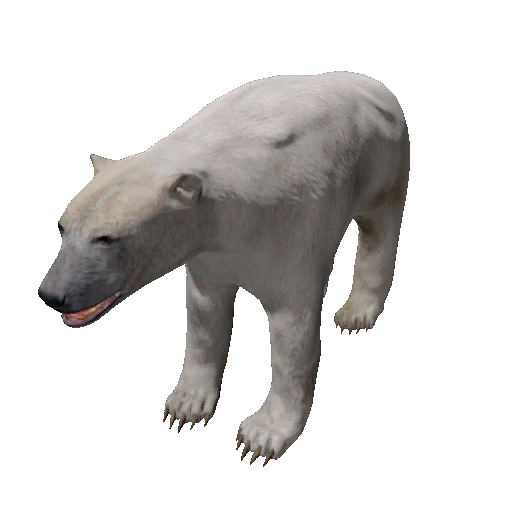 Datei:Npc polarbear 0.png