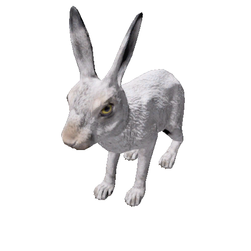 Datei:Npc hare 1.png
