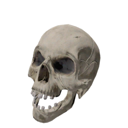 Datei:Object skull.png