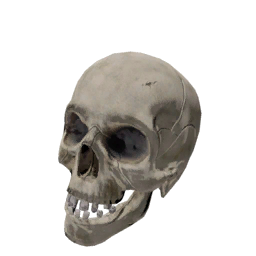 Datei:Object skull 2.png