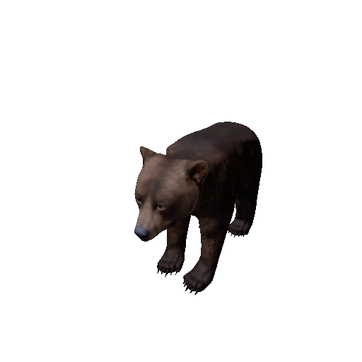 Datei:Npc bearcub 0.png