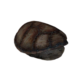 Datei:Item turtleshell.png