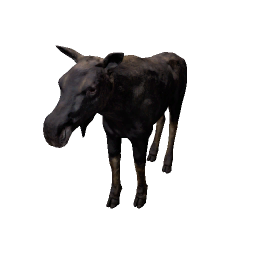 Datei:Npc moose 0.png