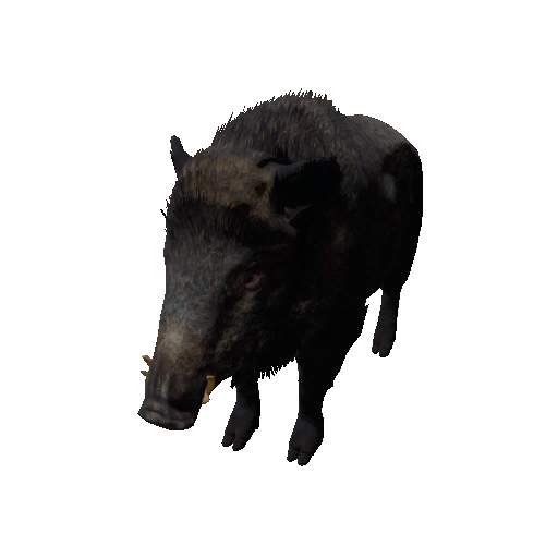 Datei:Npc wildboar 0.png