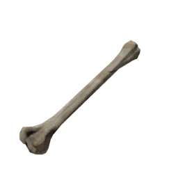 Datei:Object bone.png