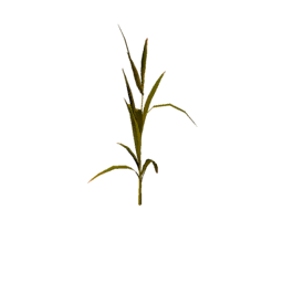 Datei:Plant corn s1.png