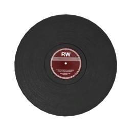 Datei:Item musicdisc.png