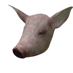 Datei:Clothing maskpig.png