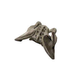 Datei:Object bonepelvis.png