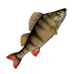 Datei:Item perch.png