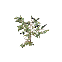 Datei:Item saplingacacia.png
