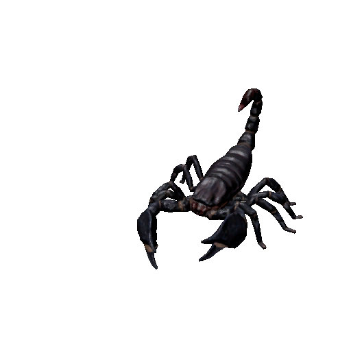 Datei:Npc scorpion 0.png