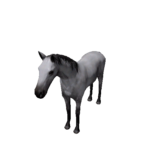 Datei:Npc foal 13.png