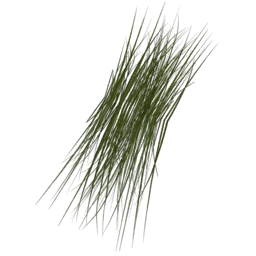 Datei:Item grass.png