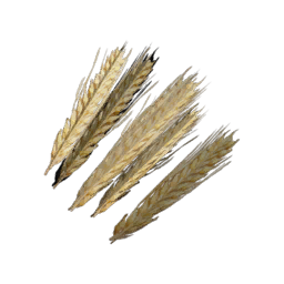 Datei:Item wheat.png
