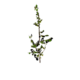Datei:Item saplingapple.png
