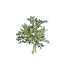 Datei:Item saplinglondonplane.png