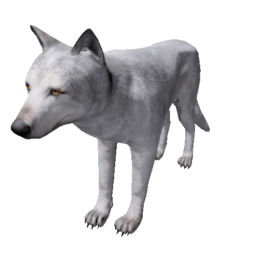 Datei:Npc arcticshewolf 0.png