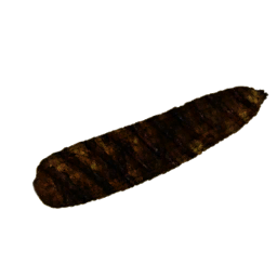 Datei:Item corncobburned.png