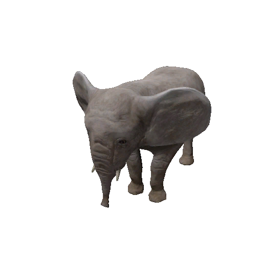Datei:Npc elephantcalf 0.png