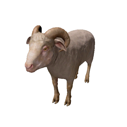 Datei:Npc ramshorn 0.png