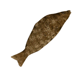 Datei:Item carpdried.png