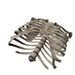 Datei:Object boneribcage.png