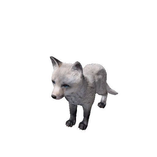 Datei:Npc arcticfoxcub 0.png