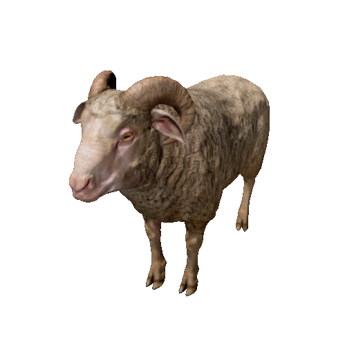Datei:Npc ram 0.png