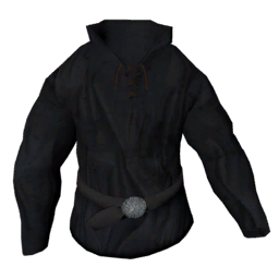 Datei:Clothing medievalshirt.png