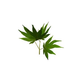 Datei:Item saplinghemp.png